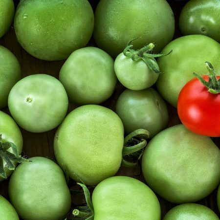 La importancia de tener una marca con carácter, exitosa y capaz de conquistar el corazón  de tus clientes.